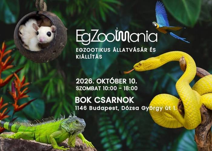 EgZoo Mania 2026 – különleges állatok tízezer négyzetméteren a BOK Csarnokban