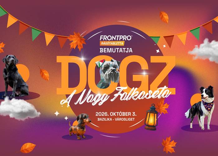 DOGZ A Nagy Falkaséta, 2026. október 3.