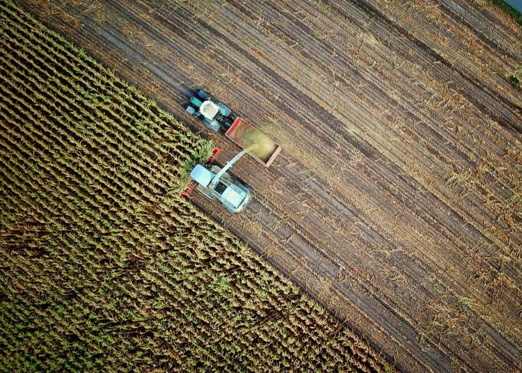 Agrártámogatás 2023-2027: óriási pénzekhez juthatnak a magyar gazdák, a kamara segít eligazodni