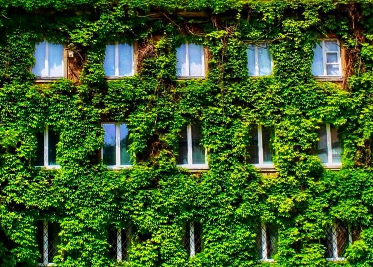Tovább nő az ESG szerepe az ingatlanpiacon