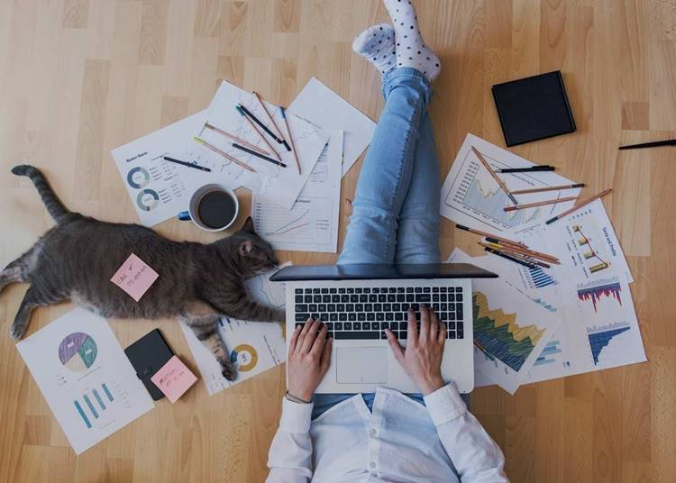 A co-working új formája: Otthon, barátokkal