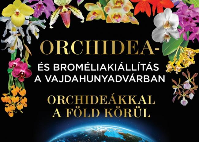 Orchidea és Bromélia Kiállítás, 2025. november 6-9.