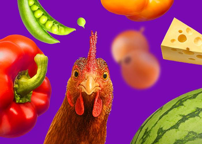 AgroFood konferencia, 2026. május 19.