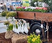 Haus – Garten - Freizeit, 2018. február 10 – 18.