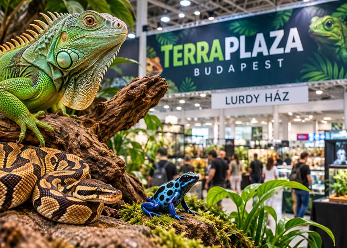 TerraPlaza Budapest 2026 – egzotikus állatok és terrarisztika a Lurdy Házban