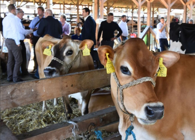 Országos Mezőgazdasági és Élelmiszeripari Kiállítás és Vásár, 2019. szeptember 26-29.