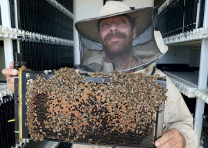 Robotizált kaptárakban zümmögnek vidáman az izraeli méhek