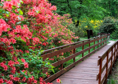 5 káprázatosan szép botanikus kert, amit kár lenne kihagyni