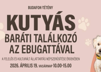 Kutyás piknik, szakértői programok és jótékonyság egy helyen, 2026. április 19.