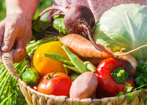 Nagy változás jön a magyar zöldségtermelésben: ezt a vásárlók is meg fogják érezni