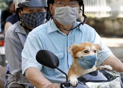 Hogy fog állni a Covid-19 2025-ben?
