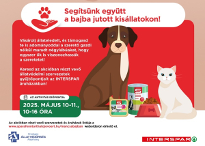 Országos összefogásra hív a SPAR –  indul az állateledel-gyűjtés a rászoruló négylábúaknak