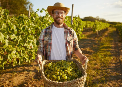 Gondoltad volna? Ez a legnépszerűbb felnőttképzés itthon