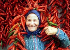 Kalocsai Paprika Fesztivál, 2023. szeptember 8-10.