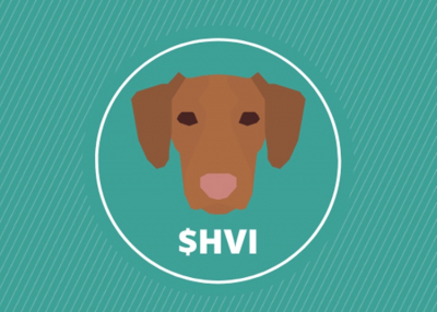 950-szeresére nőtt három hét alatt a magyar vizslacoin árfolyama