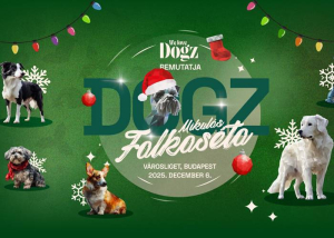 DOGZ Mikulás Falkaséta, 2025. december 6.