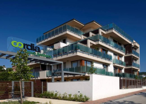 Rekordévet zárt a Cordia