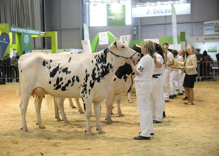 ANIMAL TECH Nemzetközi Állattenyésztési Szakvásár és Cseh Nemzeti Jószágkiállítás, 2023. április 22.–26.