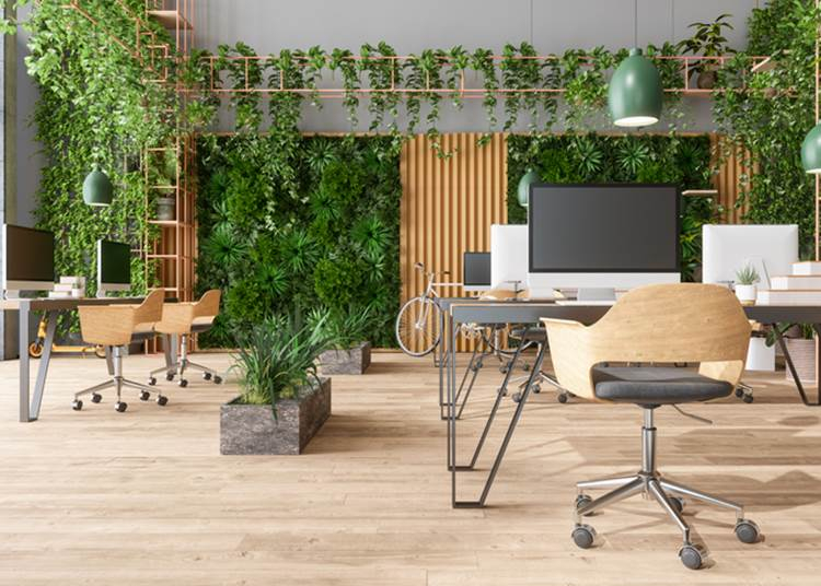 Mitől zöld egy iroda? Környezettudatos, egészséges és hatékony munkahelyek nyomában