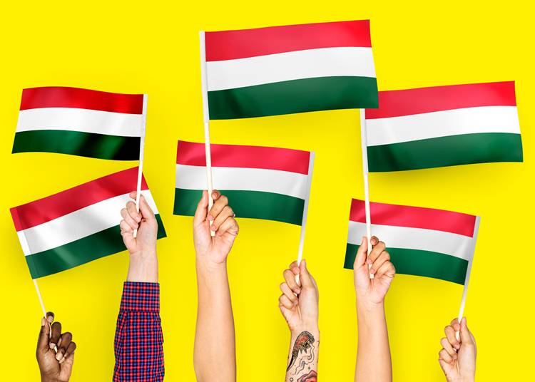 Magyar nyelv az üzleti életben: fontos vagy nem?