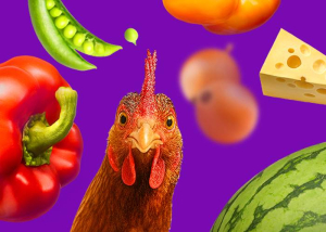 AgroFood konferencia, 2026. május 19.