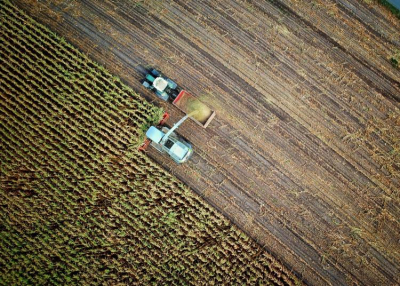 Agrártámogatás 2023-2027: óriási pénzekhez juthatnak a magyar gazdák, a kamara segít eligazodni