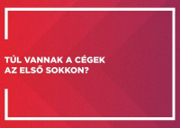 Túl vannak a cégek az első sokkon?