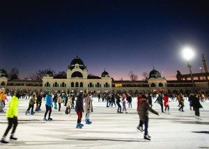 Jégpályák éjszakája, 2026. január 17.