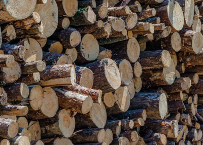 Lezárult a tűzifaprogram – Megduplázza kapacitásait a Rail Cargo