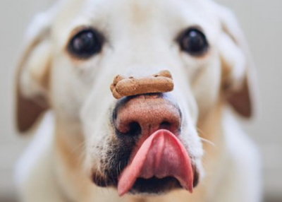 Megosztja a reklámszakmát, hogy a Google 2023-ra halasztotta a cookie-k kivezetését