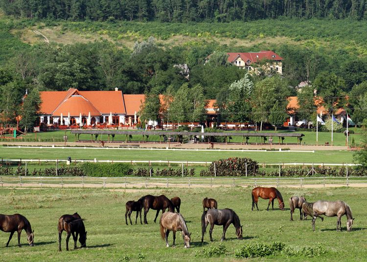 Minden hétvégén házias ízek és színes programok a Lázár Lovasparkban