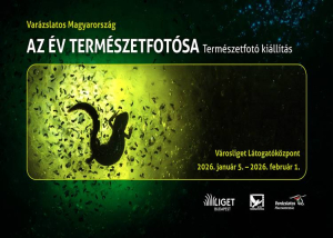 Varázslatos Magyarország – "Az év természetfotósa" kiállítás