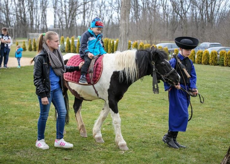 Márton-napi libator a Lázár Lovasparkban, 2020. november 7-8.