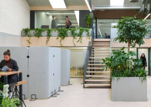 Megjelent a &#039;CEE Regional Office Occupier Insights&#039; című kutatás