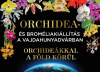 Orchidea és Bromélia Kiállítás, 2025. november 6-9.
