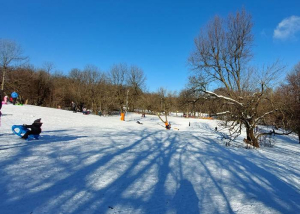 Hivatalosan is megnyílt a Normafán a szánkó- és sífutópálya